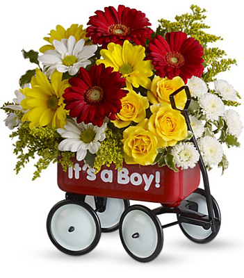 Baby's Wow Wagon by Teleflora from Richardson's Flowers in Medford, NJ